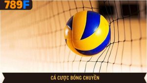 Cá cược bóng chuyền