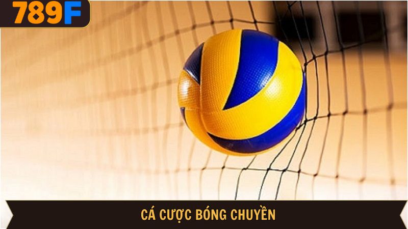 Cá cược bóng chuyền