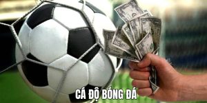 Cá độ bóng đá