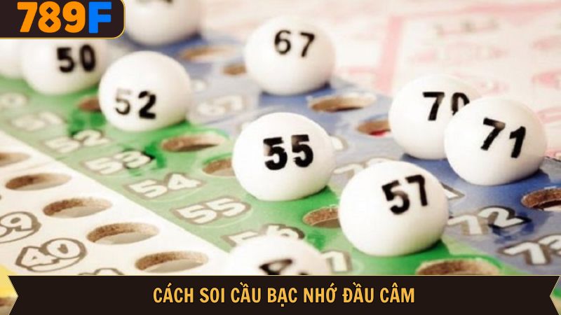 Cách soi cầu bạc nhớ đầu câm dễ hiểu, mang lại hiệu quả