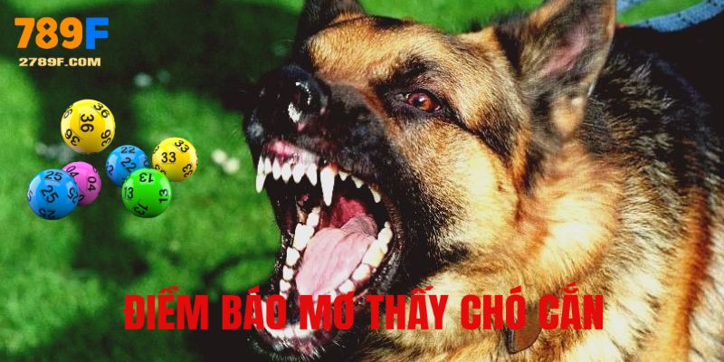 Mơ Thấy Chó Cắn Có Xui Không? Lý Giải & Con Số May Mắn 2 Điềm báo khi mơ thấy chó cắn