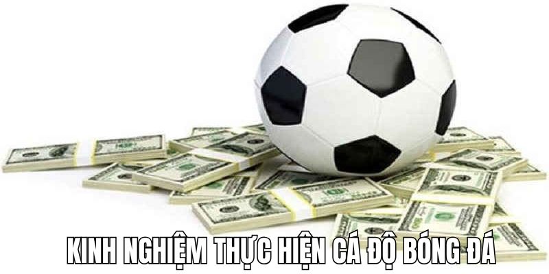 Kinh nghiệm đem lại hiệu quả cao khi cá độ bóng đá 