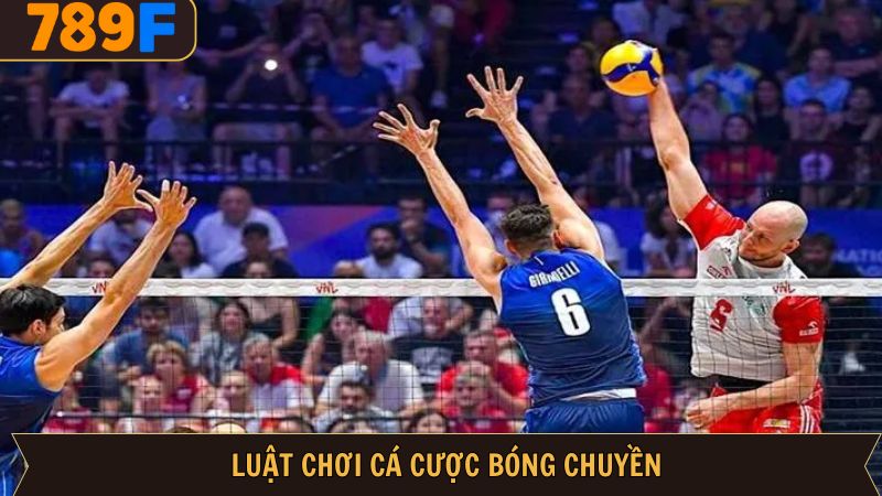 Khám phá quy luật chi tiết trong cá cược bóng chuyền