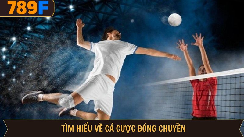 Giới thiệu đôi điều về hình thức cá độ hot