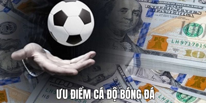 Thông tin tổng quan về các cược bóng đá