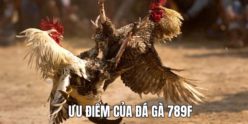 Ưu thế vượt trội xây dựng tên tuổi của sảnh cược