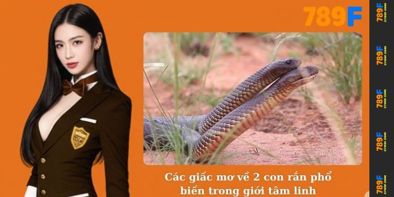 Nằm Mơ Thấy 2 Con Rắn – Giải Mã Ý Nghĩa Tâm Linh Cùng 789F 3 Các giấc mơ về 2 con rắn phổ biến trong giới tâm linh