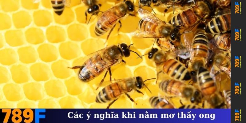 Nằm Mơ Thấy Ong – Giải Mã Ý Nghĩa Và Con Số May Mắn ở 789F 2 Các ý nghĩa khi nằm mơ thấy ong