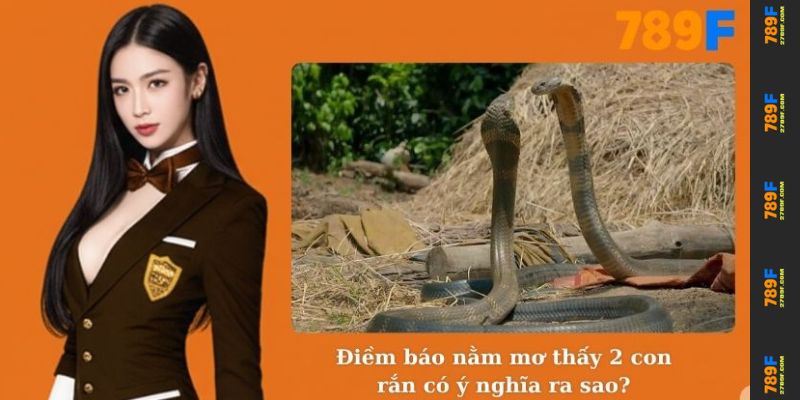 Nằm Mơ Thấy 2 Con Rắn – Giải Mã Ý Nghĩa Tâm Linh Cùng 789F 2 Điềm báo nằm mơ thấy 2 con rắn có ý nghĩa ra sao?