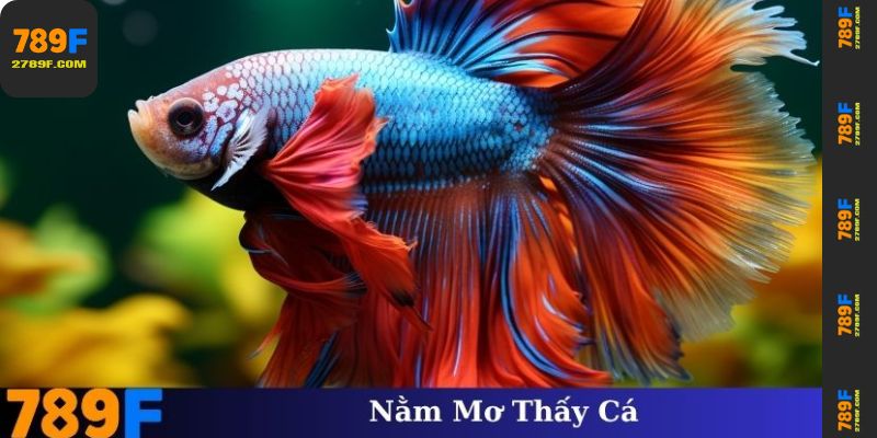 Lời khuyên từ chuyên gia khi tham gia đặt cược đạt hiệu quả