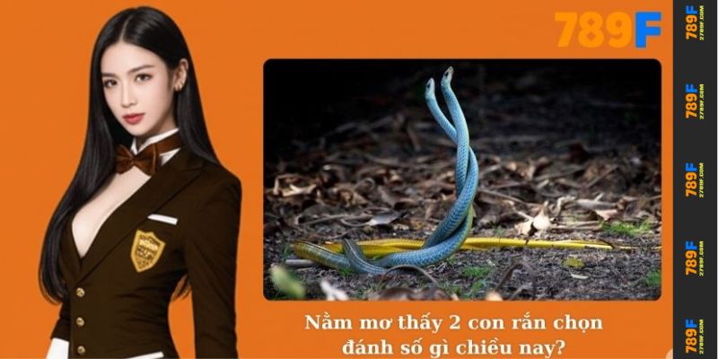 Nằm Mơ Thấy 2 Con Rắn – Giải Mã Ý Nghĩa Tâm Linh Cùng 789F 4 Nằm mơ thấy 2 con rắn chọn đánh số gì chiều nay?