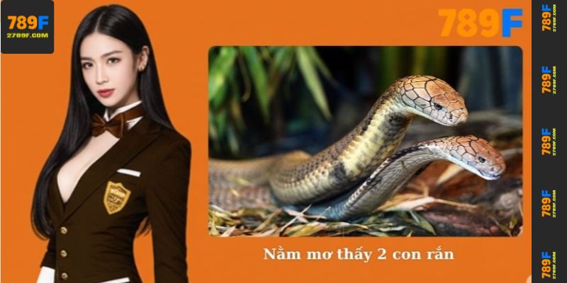 Nằm Mơ Thấy 2 Con Rắn – Giải Mã Ý Nghĩa Tâm Linh Cùng 789F 1 Nằm mơ thấy 2 con rắn