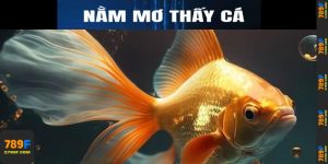 Nằm mơ thấy cá