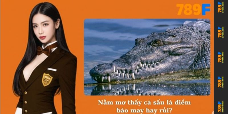 Nằm mơ thấy cá sấu là điềm báo may hay rủi?