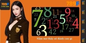 Nằm mơ thấy số