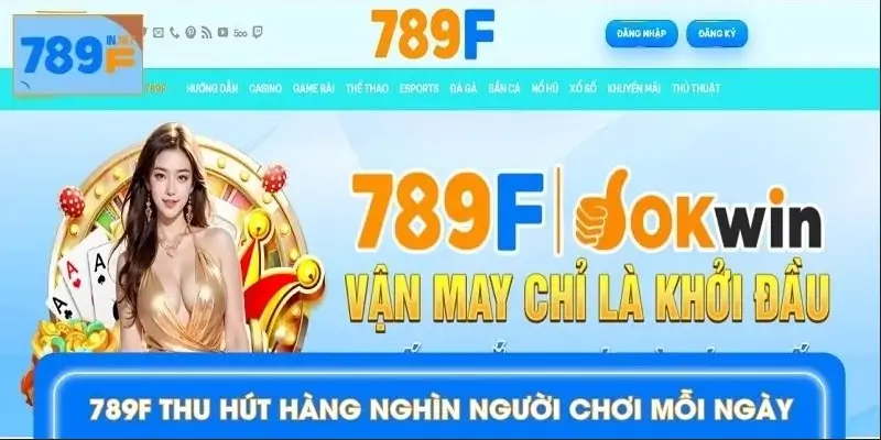 Nền tảng vượt mốc 1000 hội viên truy cập mỗi ngày